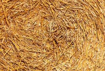 Dry hay as an abstract background. Texture