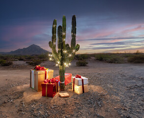 A festive Christmas cactus with illuminated decorations and gifts in a desert landscape at sunset
