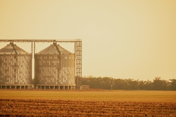Silos and granary elevator. Modern agro-processing manufacturing plant with grain-drying complex. processing, drying, cleaning, and storing agricultural products in wheat, rye or corn fields - obrazy, fototapety, plakaty