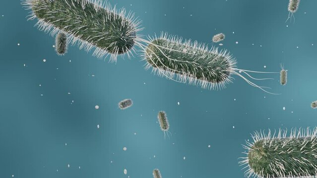 E. coli stands for Escherichia coli is a bacteria that is commonly found in the lower intestine of warm-blooded organisms 3d rendering