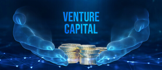 Venture capital. Investor capital. 3d illustration - obrazy, fototapety, plakaty