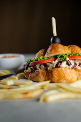 Harvest Chicken Sandwich with french fries and mayonnaise dip isolated on napkin side view of breakfast food