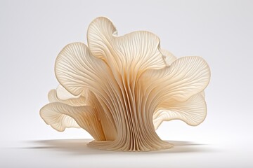 Oyster mushrooms on white background. 3D illustration. Top view, Mushroom in the form of a wave on...