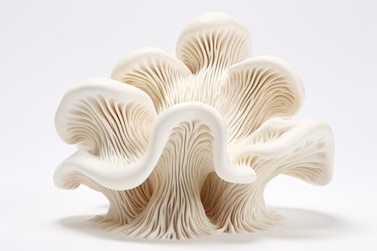 Oyster mushrooms on white background. Shimeji mushroom, Mushroom in the form of a wave on a white background, AI Generated