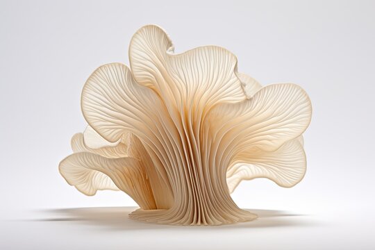 Oyster mushrooms on white background. 3D illustration. Top view, Mushroom in the form of a wave on a white background, AI Generated