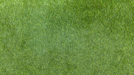 green grass field synthetic artificial plastic grass texture floor background - obrazy, fototapety, plakaty