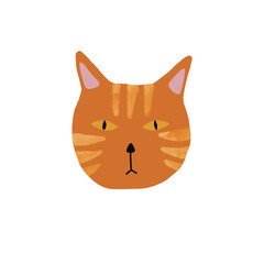 Orange cat