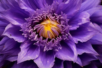 A close-up of a purple flower with large petals, some purple and yellow, exhibiting intricate petal formations. Generative AI