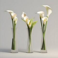 tulips in vase