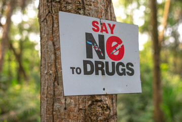A tree with a sign for say no to drugs on it