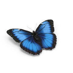 Naklejka premium Blue Morpho Butterfly PNG