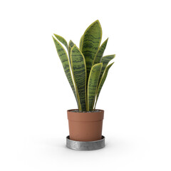 House Plant PNG