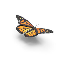 Fototapeta na wymiar Monarch Butterfly PNG