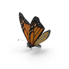 Fototapeta na wymiar Monarch Butterfly PNG