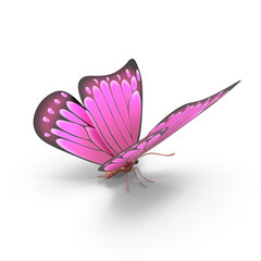 Pink Butterfly PNG