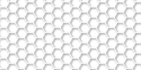 Abstract background with hexagon and white Hexagonal Background. Luxury White Pattern. Vector Illustration. 3D Futuristic abstract honeycomb mosaic white background. geometric mesh cell texture.