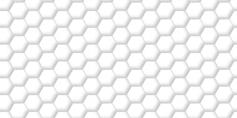 Naklejka premium Abstract background with hexagon and white Hexagonal Background. Luxury White Pattern. Vector Illustration. 3D Futuristic abstract honeycomb mosaic white background. geometric mesh cell texture.