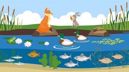 Obraz na płótnie Canvas Vector illustration of a pond with ducks, fish and a squirrel.