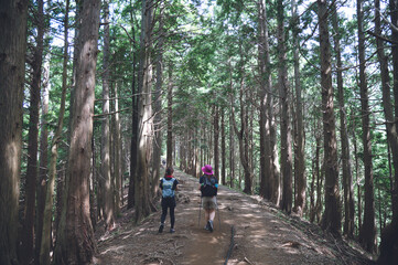 Fototapeta premium 塔ノ岳登山, 表丹沢, 秦野, 神奈川