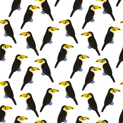 vector drawing seamless pattern with toucan , hand drawn natural background