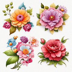 Set of differents flowers decoration on white background 