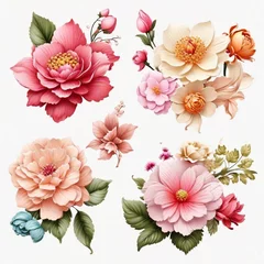 Meubelstickers Set of differents flowers decoration on white background  © Mahmud