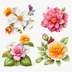 Set of differents flowers decoration on white background 