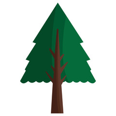 Fototapeta premium beautiful and unique green tree cartoon vector