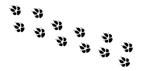 Fox paws. Animal paw prints, vector illustration different forest animals footprints black on white illustration for different design uses. - obrazy, fototapety, plakaty