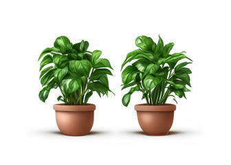 Obraz premium abstract illustration of green plant isolated over white background