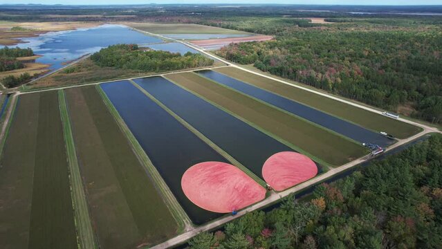 Cranberry bogs are seen from the air in central Wisconsin.