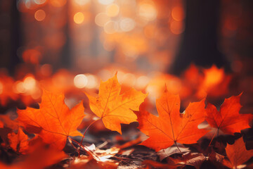 Naklejka na ściany i meble Orange maple leaves on the ground with a bokeh effect defocused background. Autumn concept
