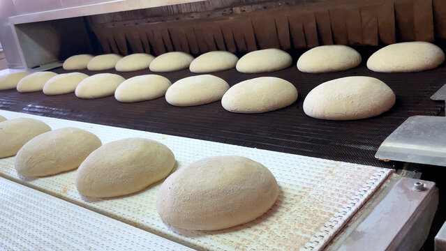 Big bakery bread industrial production line. Fresh bread dough entering the Bread Baking Furnace. Conveyor Belt of Industrial Bread Baking Tunnel