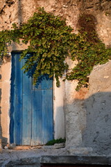 Fototapeta na wymiar Stare niebieskie drzwi, otoczone bluszczem. Italy