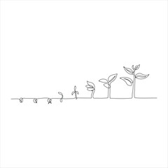 Continuous tree plant growing and seed maturation single line art vector outline illustration