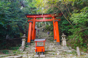 Fototapeta na wymiar 神倉神社の鳥居と古い自然石の石段（和歌山県新宮市）