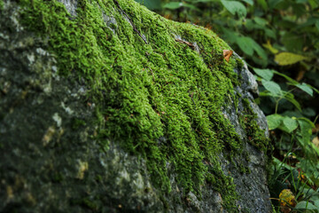 Close up of huge stone with green moss and blurred background