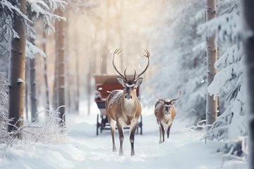 Foto op Aluminium Deer are driving a cart in a snowy forest on a snowy road on the eve of the New Year and Christmas holidays © LELISAT