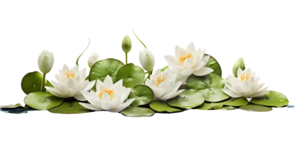 Foto auf Alu-Dibond Lily Pads on Transparent Background Isolated on Transparent or White Background, PNG © The
