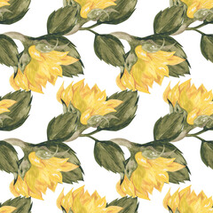 sunflower png seamless pattern