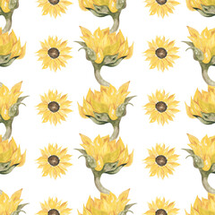 sunflower png seamless pattern