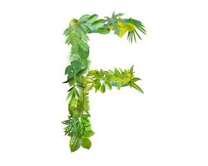 F shape made of various kinds of leaves isolated on transparent background, go green concept, PNG