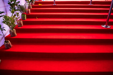 Red carpet on the steps