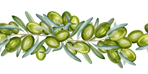 watercolor seamless border with branch of green olives with leaves and fruits, hand drawn illustration of olive, round frame on white background