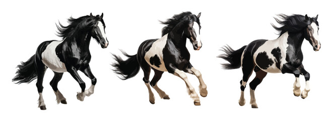 Black and white horse running vector set isolated on white background