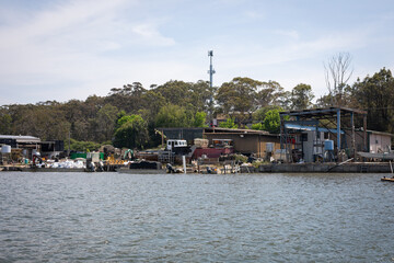 boats in the harbor