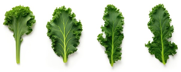 Kale Leaves Isolated On White