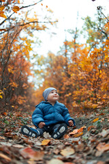 Beautiful baby in blue jacket walking in autumn forest among yellow and red leaves.