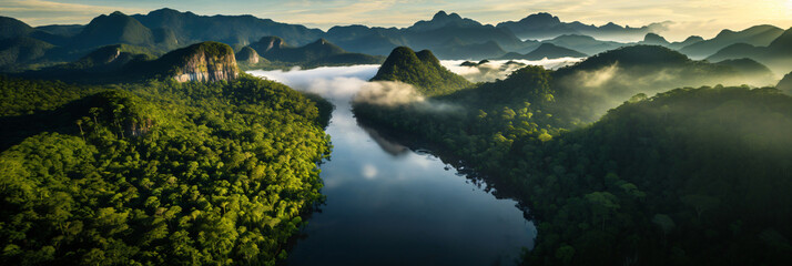 Fototapeta na wymiar impressive and spectacular rainforest river landscape