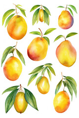 Obraz premium mangoes watercolor clipart cute isolated on white background